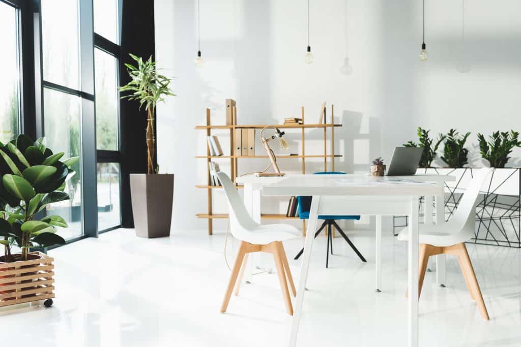 Decorating Business Coach